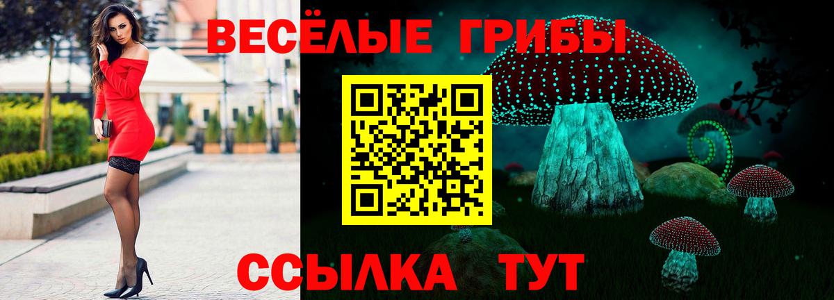 Кизляр  Галлюциногенные грибы Psilocybe  Вход с VPN 